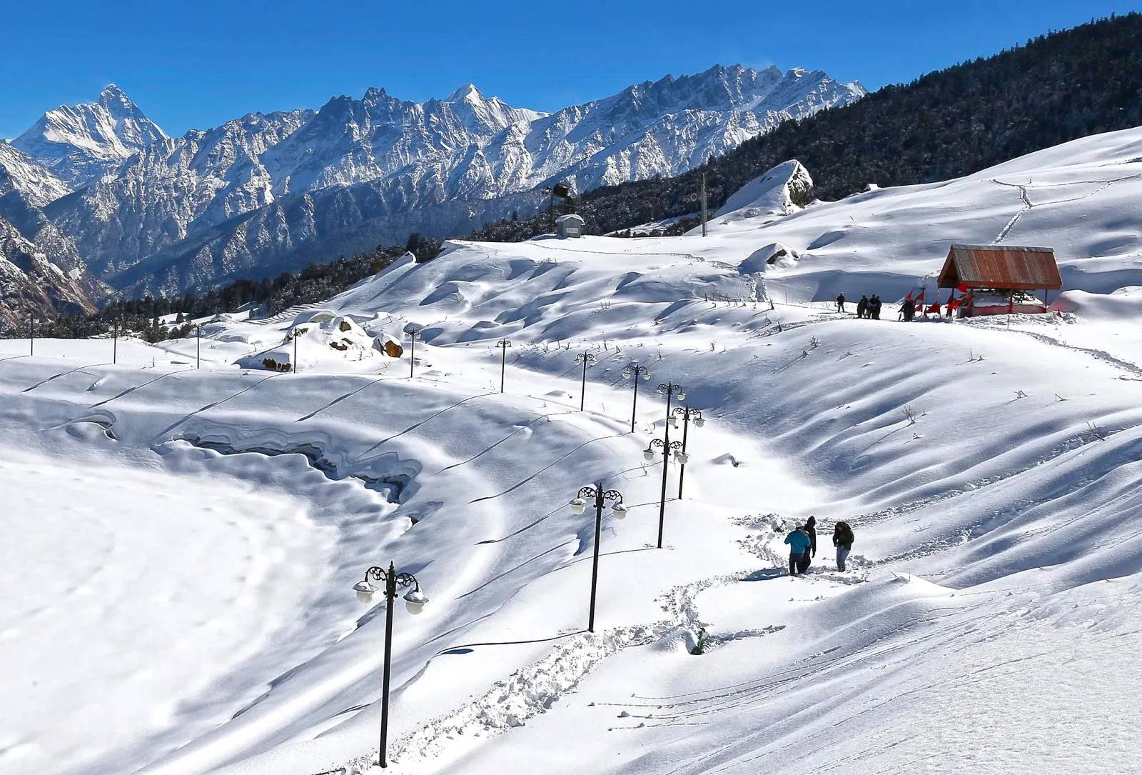 Auli