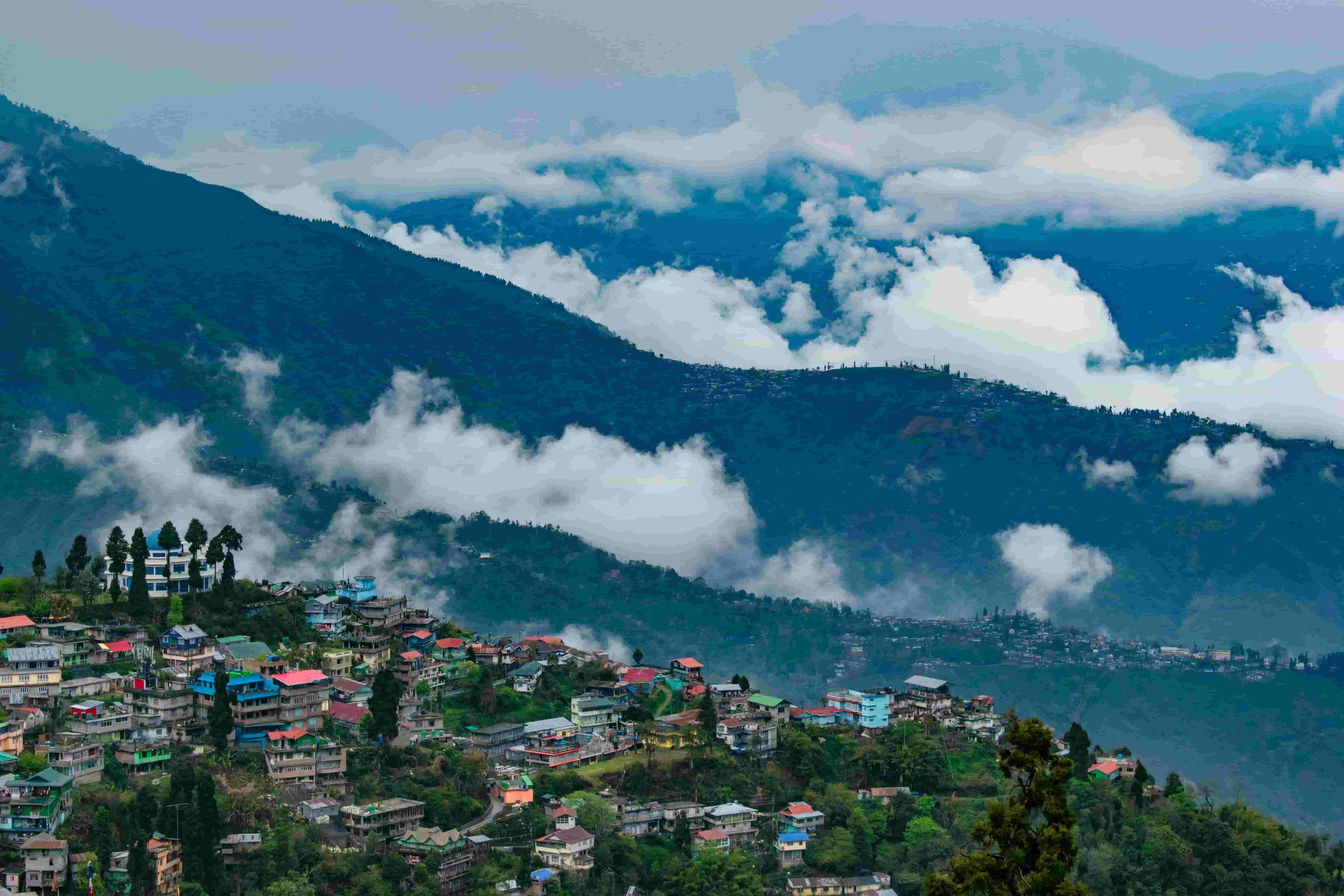 Darjeeling tea gardens