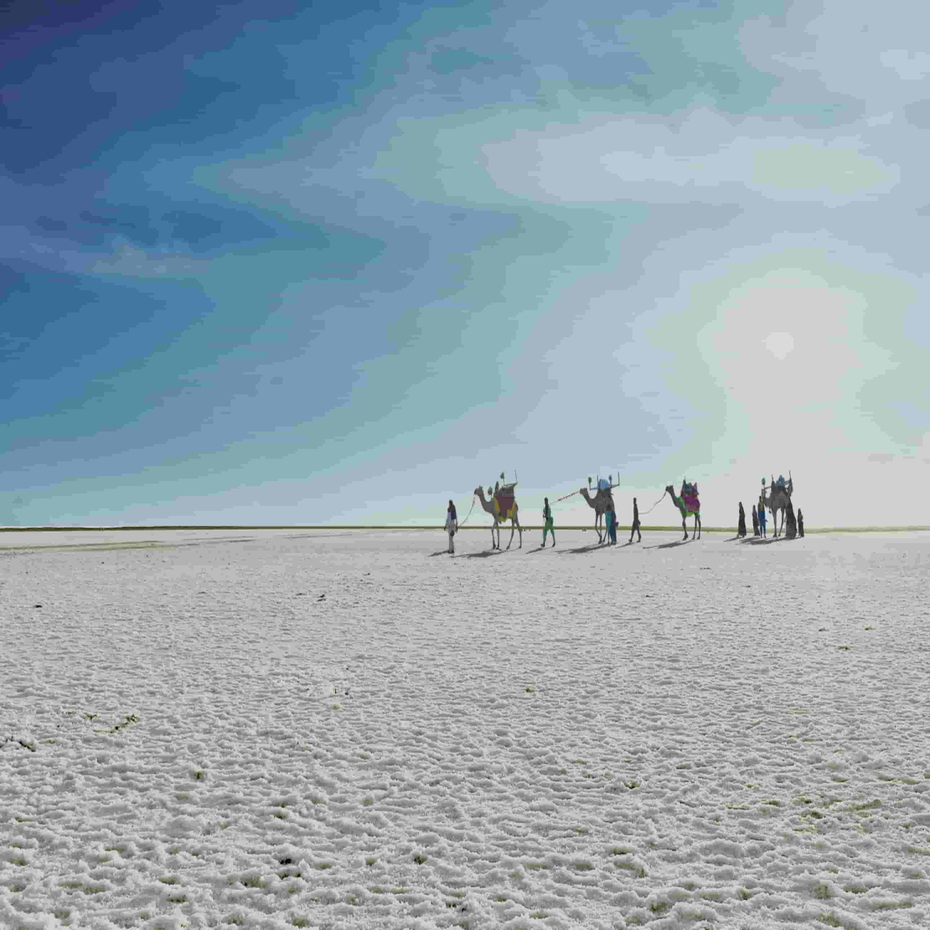 Rann of Kutch